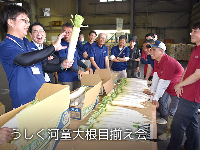 うしく河童大根目揃え会