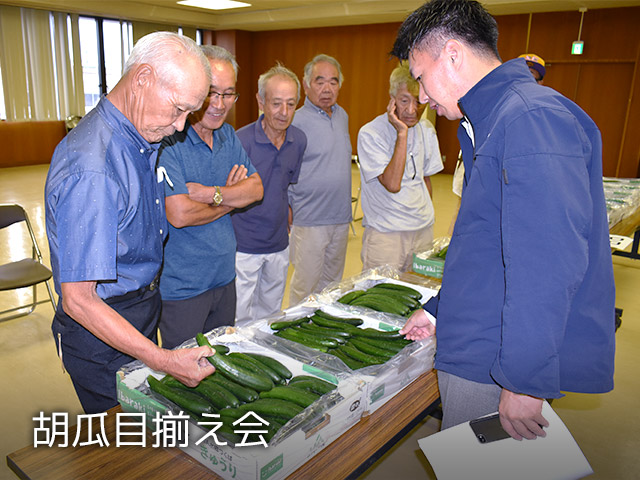 胡瓜目揃え会