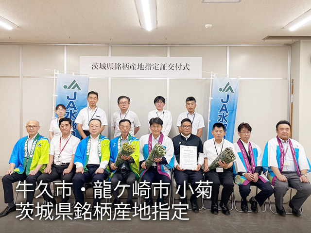 牛久市・龍ケ崎市 小菊 茨城県銘柄産地指定
