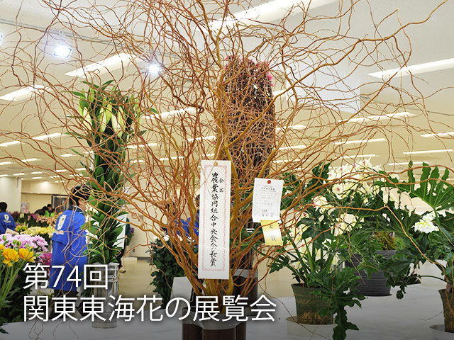 第74回関東東海花の展覧会