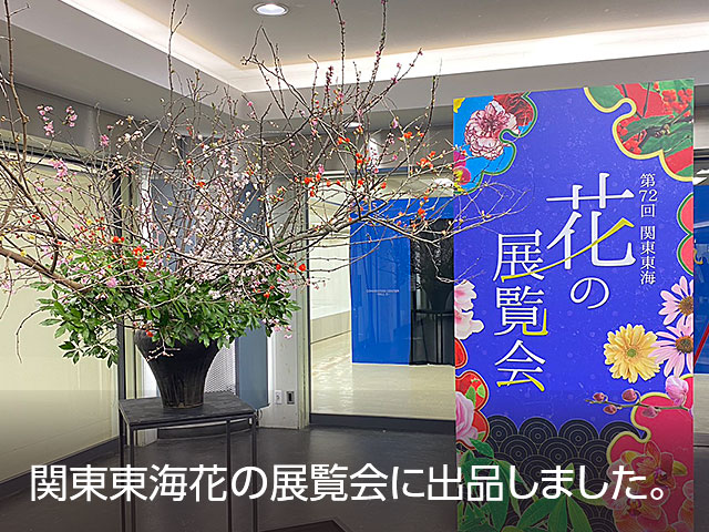 関東東海花の展覧会に出品しました。